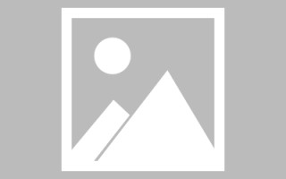 诸城论文网站建设（网站建设的论文）